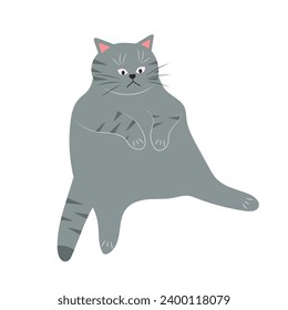 Cute fat sitting cat. Lazy fluffy funny cartoon character. Hand drawn vector illustration isolated on white background.