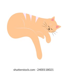 Cute fat sleeping cat. Lazy fluffy funny cartoon character. Hand drawn vector illustration isolated on white background.