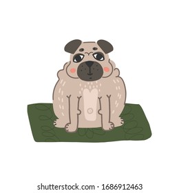 Cute fat smiling pug puppy on green mat. Flat vector illustration on isolated background.