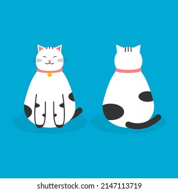 Cute fat white cat sitting front and back on blue background cartoon character flat vector design.