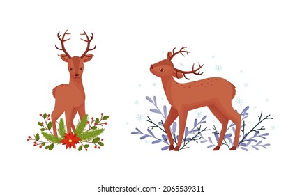 Cute fawn among tree branches and grass. Adorable forest little deer cartoon vector illustration