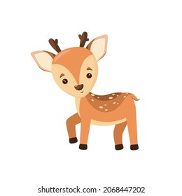 Cute fawn in cartoon style on a white background.

