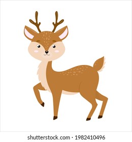cute fawn isolated on white background. santa claus ' New Year's reindeer