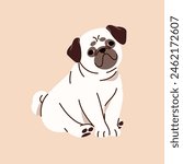 Cute fawn pug sits. Small companion dog with wrinkly muzzle relaxes. Happy puppy with curled tail. Funny pup, friendly doggy smiles. Adorable pet, domestic animal. Flat isolated vector illustration