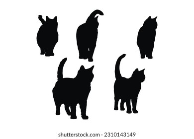 Cute feline front side silhouette set on a white background. Beautiful domestic cat silhouette bundle design. Cat walking and standing in different positions. Cat full body silhouette collection.