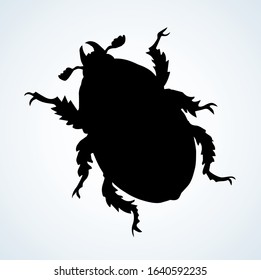 Cute female melolonthinae on light paper text space backdrop. Freehand linear dark brown color ink pen hand drawn picture logo emblem. Art retro doodle engrave print style. Close up micro detail view