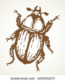 Cute female melolonthinae on light paper text space backdrop. Freehand linear dark brown color ink pen hand drawn picture logo emblem. Art retro doodle engrave print style. Close up micro detail view
