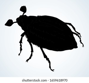 Cute female melolonthinae on light paper text space backdrop. Freehand linear dark brown color ink pen hand drawn picture logo emblem. Art retro doodle engrave print style. Close up micro detail view