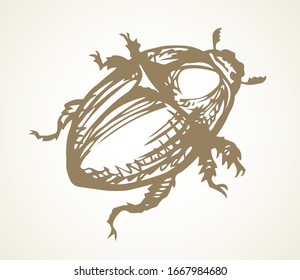Cute female melolonthinae on light paper text space backdrop. Freehand linear dark brown color ink pen hand drawn picture logo emblem. Art retro doodle engrave print style. Close up micro detail view