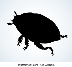 Cute female melolonthinae on light paper text space backdrop. Freehand linear dark brown color ink pen hand drawn picture logo emblem. Art retro doodle engrave print style. Close up micro detail view