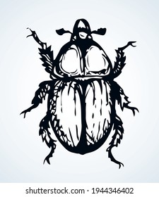Cute female melolonthinae on light paper text space backdrop. Freehand linear dark brown color ink pen hand drawn picture logo emblem. Art retro doodle engrave print style. Close up micro detail view