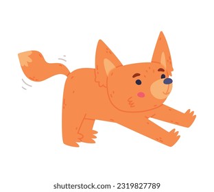 Cute Fennec Fox with Red Coat and Large Ears Stretching Vector Illustration