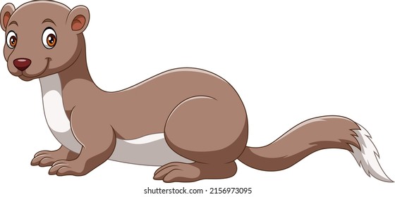 Cute ferret cartoon on white background