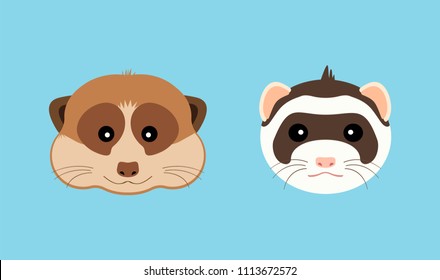 Cute ferret and meerkat muzzle. Vector flat design illustration.