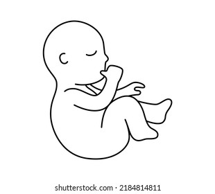 Cute fetus baby sucking a finger outline style with editable stroke vector illustration