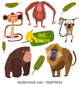 Cute fife funny monkeys colorful collection. (All objects are isolated groups so you can move and separate them)-stock vector