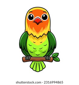 Cute fischer love bird cartoon on tree branch