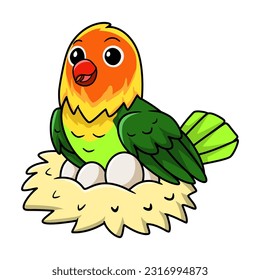 Cute fischer love bird cartoon with eggs in the nest