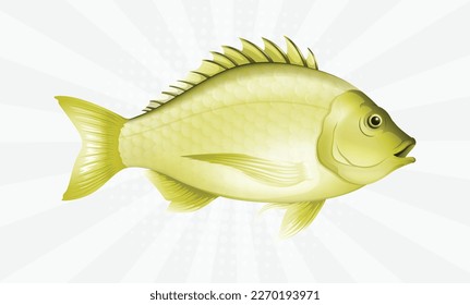 Cute fish collection design eps vector designs 