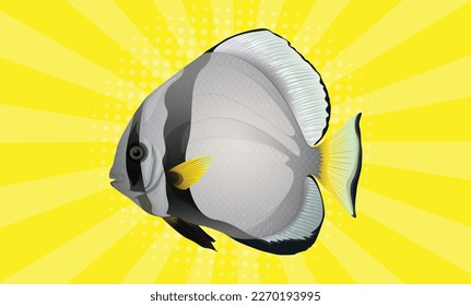 Cute fish collection design eps vector designs 
