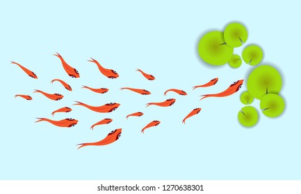 Cute fish pictures for making background images