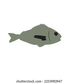 Juego de iconos de ilustración de vectores de peces. Pescados tropicales, peces marinos, peces acuarios