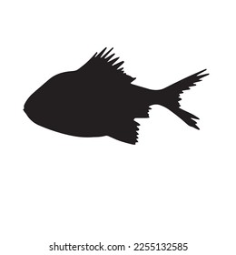 Cute fish vector illustration icons set. Tropical fish, sea fish, aquarium fish