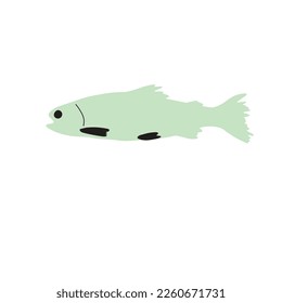 Juego de iconos de ilustración de vectores de peces. Pescados tropicales, peces marinos, peces acuarios