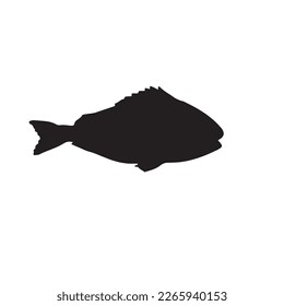 Cute fish vector illustration icons set. Tropical fish, sea fish, aquarium fish