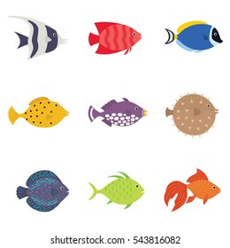 Cute fish vector illustration icons set.  Tropical, sea, aquarium fish set isolated on white background. Sea color flat design 