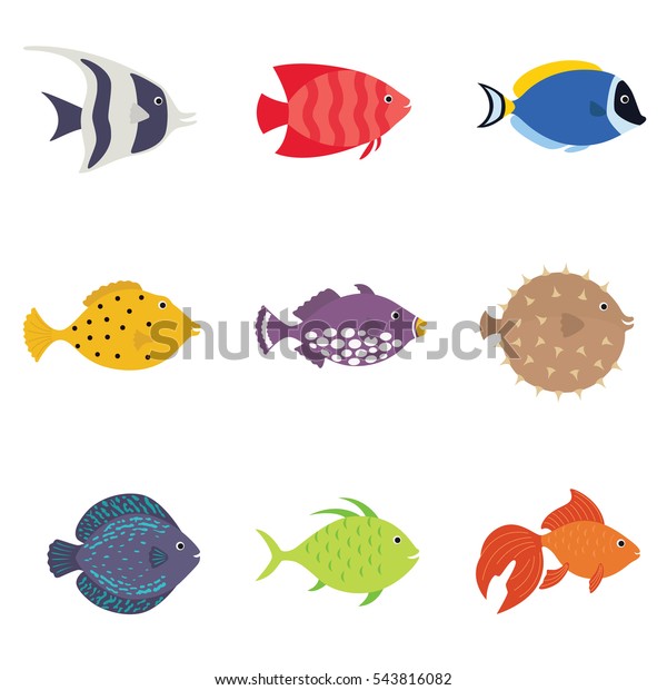 Cute fish vector illustration icons set.  Tropical, sea,\
aquarium fish set isolated on white background. Sea color flat\
design 