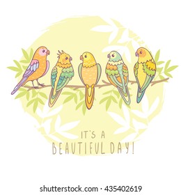 Cute five funny parrots sitting on a branch with sample text. Vector illustration