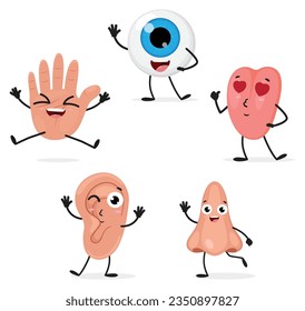 Cute five human senses organs cartoon character