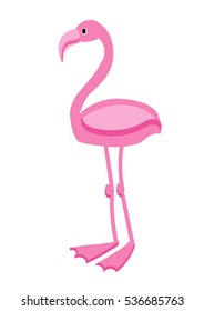 Cute flamingo