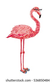 Cute flamingo