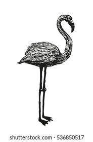 Cute flamingo
