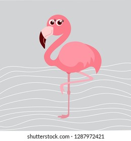 cute flamingo background,  vector illustration