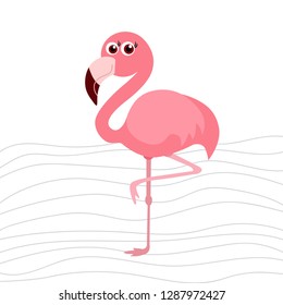 cute flamingo background,  vector illustration
