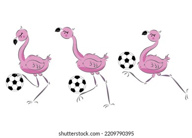 Cute flamingo with ball. Pink  funny bird.