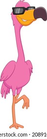 cute flamingo bird isolated on white background