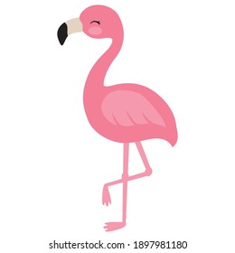 Cute flamingo bird vector cartoon illustration