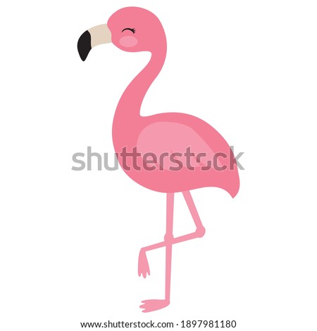 Cute flamingo bird vector cartoon illustration