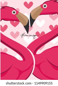 cute flamingo couple vector