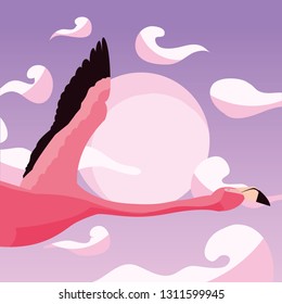 cute flamingo flying