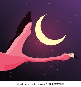 cute flamingo flying