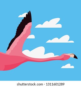 cute flamingo flying