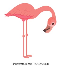 Vector de dibujos animados de iconos de flamingo mate. Pájaro rosado. Flamingo de verano tropical