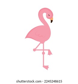cute flamingo icon on white background