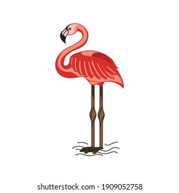 ilustración de flamingo lindo en vector 