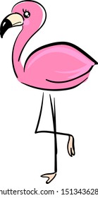 Cute flamingo, illustration, vector on white background.